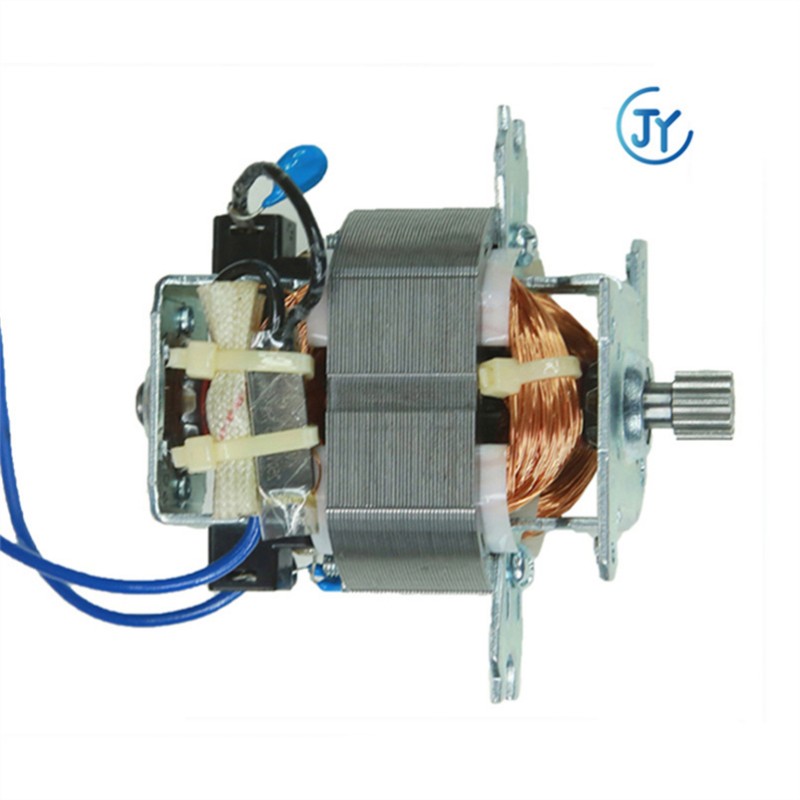 Electric 1000w Ac Motor for Juicer